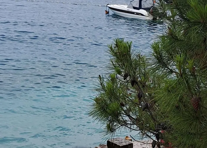 Apartman Antea